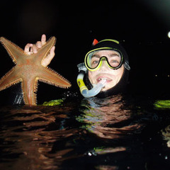 Gregor  Kalinkat's profile picture