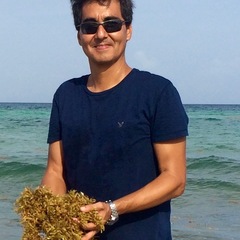 DANIEL ROBLEDO's profile picture