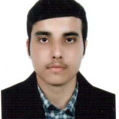Mehrab Najaeinejad's profile picture