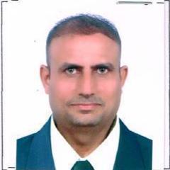 Mohammed  Rady's profile picture