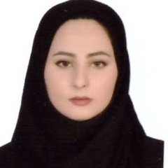 seyyedeh sahar mirmoeini's profile picture