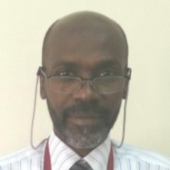 Elnour Dafeeah PhD, CPsychol's profile picture