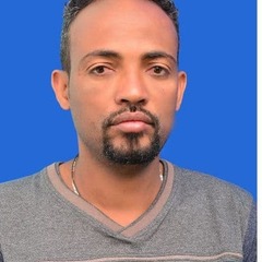 Sileshi Yeserah's profile picture