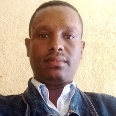 Angesom  Desta's profile picture