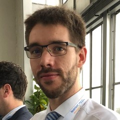 Maarten Vieveen's profile picture