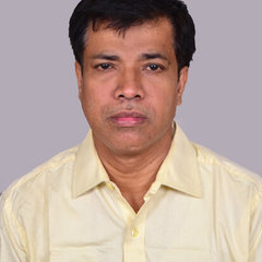 debabrata mandal's profile picture