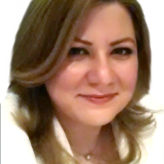 Meis Moukayed's profile picture