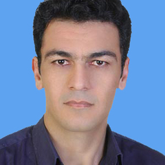Hassan  Sadeghi's profile picture