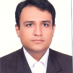 Amir Emami's profile picture