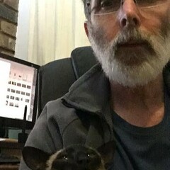 Michael Silberbauer's profile picture