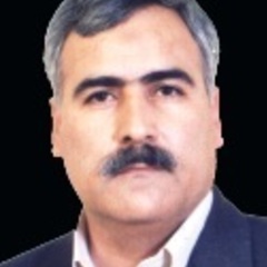 Hossein Vahid Dastjerdi's profile picture