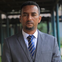 Hailu Addis's profile picture