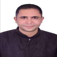 Ayman Abd El-Aziz's profile picture