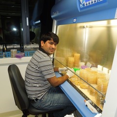 Muhammad Naveed's profile picture