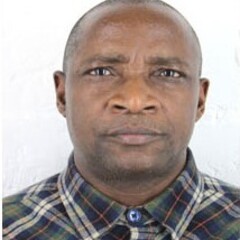 Reniko Gondo's profile picture