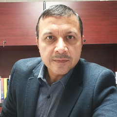 Vicente German-Soto's profile picture