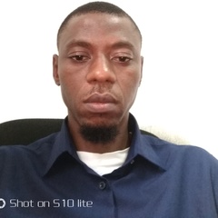 Esingbemi  Ebietomere, PhD 's profile picture