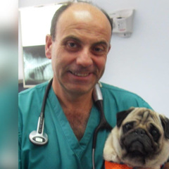 J. Alberto Montoya-Alonso's profile picture