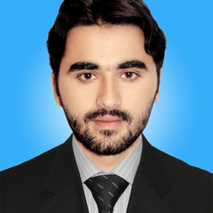 Amir  Hassan's profile picture