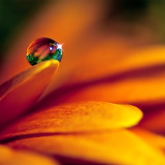 Parushuram N's profile picture