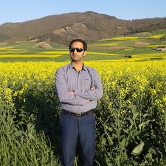 Farhad Saravani's profile picture