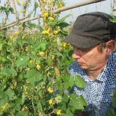 Svein Øivind Solberg's profile picture