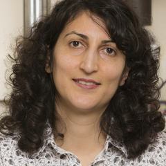 Shahrzad Towfighian's profile picture