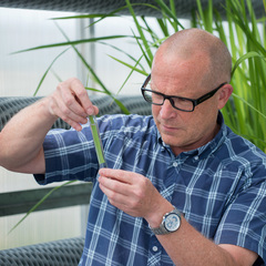 Ole Pedersen's profile picture