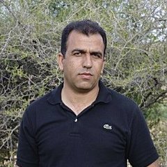 Reza Akbari's profile picture