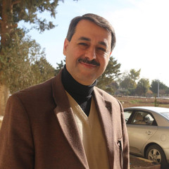 Ayad  Imam's profile picture