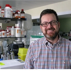 Sergi Castellvi-Bel's profile picture