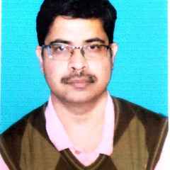 Bidyut Saha's profile picture