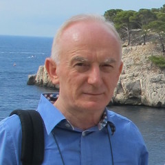 Mario Barzaghi's profile picture