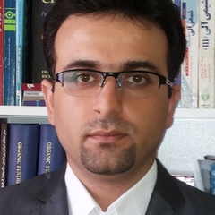 Seyed Jamal Tabatabaei Rezaei's profile picture