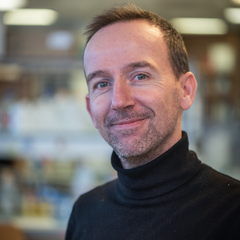 Nicolas Degauque's profile picture