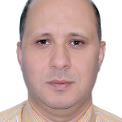 Elsayed Negim's profile picture