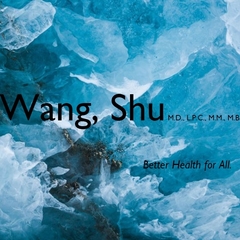 Shu Wang's profile picture