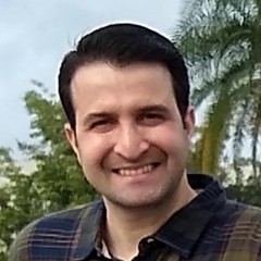 S.M. Hossein Naghavi's profile picture