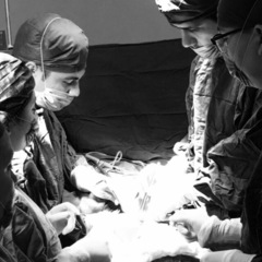 Luis  Medina Andrade's profile picture