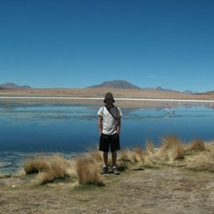 John James Wilson's profile picture