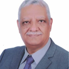 Tarek Ali's profile picture