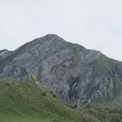 Michele Zucali's profile picture