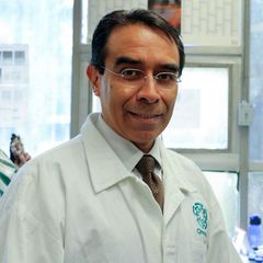 Jaime García-Mena's profile picture