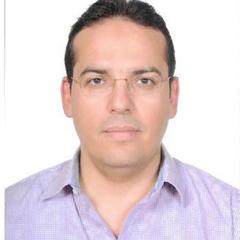 Mohamed Hamouda's profile picture