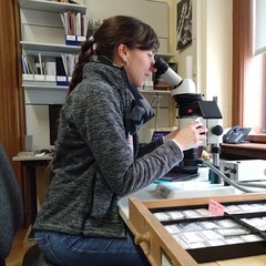 Blanca Moncunill-Solé's profile picture