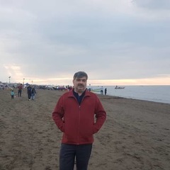 kamran yeganegi's profile picture