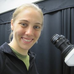 Stephanie Weber's profile picture