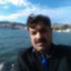 Wali Khan Mashwani's profile picture