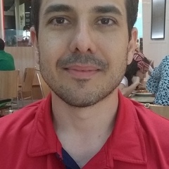 Bruno Prata's profile picture