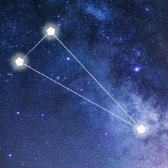 Shudipta  Sharma's profile picture